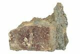 Deep-Red, Gemmy Hessonite Garnets with Clinochlore - Italy #248570-1